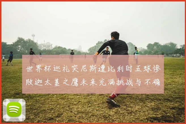 世界杯巡礼突尼斯遭比利时五球惨败迦太基之鹰未来充满挑战与不确定性